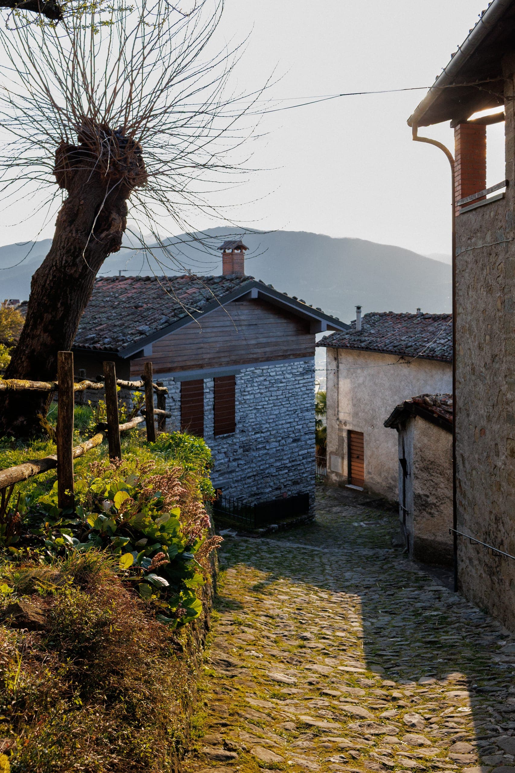 Italian Countryside 15
